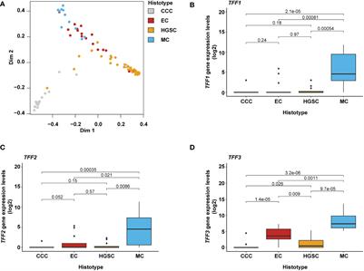 Trefoil factor family proteins as potential diagnostic markers for mucinous invasive ovarian carcinoma